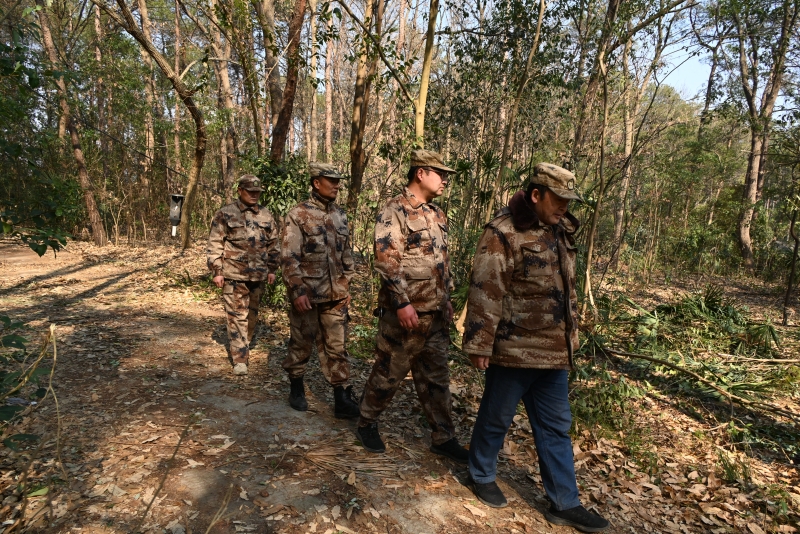 八嶺山林場護(hù)墓隊(duì)在巡山途中。人民網(wǎng)記者 王郭驥攝