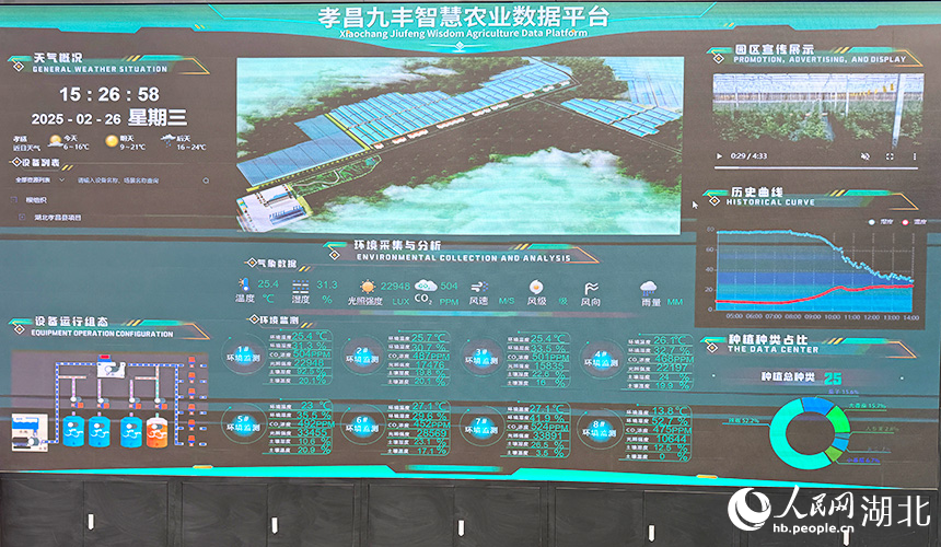 湖北孝昌:智能大棚“蔬”寫春日好豐景【10】