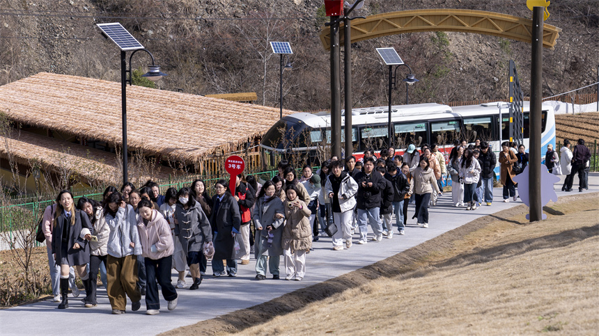 湖北十堰茅箭區(qū)：“專車”直達花海 “春日經(jīng)濟”熱力十足