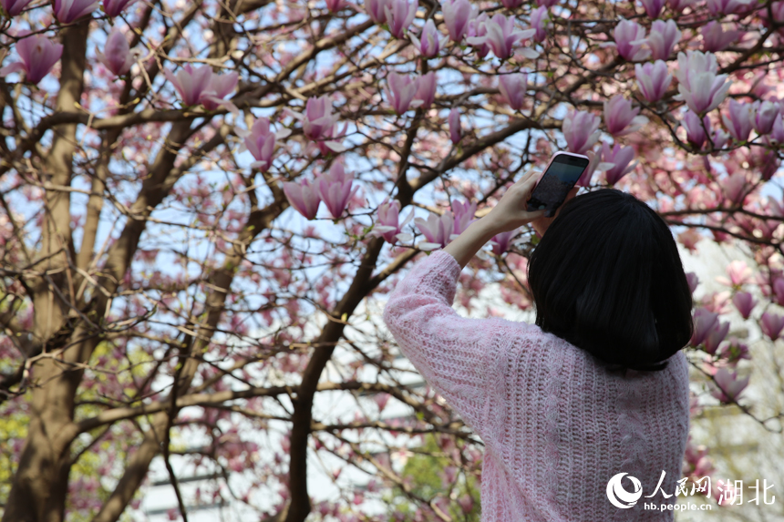 學(xué)生駐足留影。人民網(wǎng)記者 張沛攝