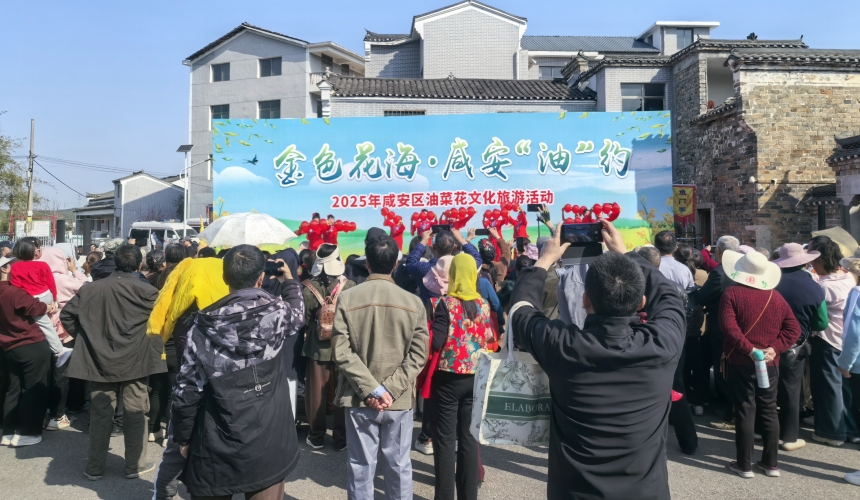 萬人“趕花集”！湖北咸安開啟油菜花狂歡季【4】