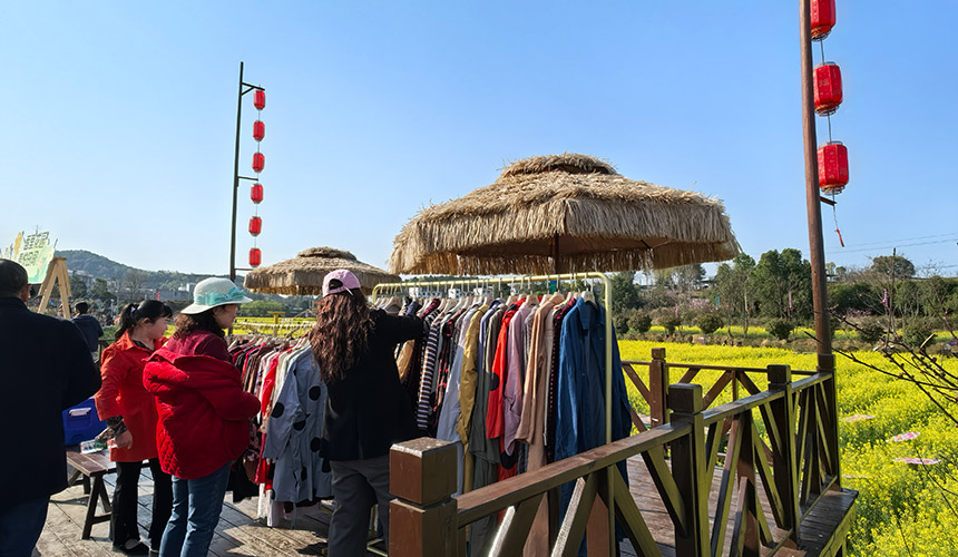 湖北咸安:百公里花帶引10萬(wàn)游客【3】