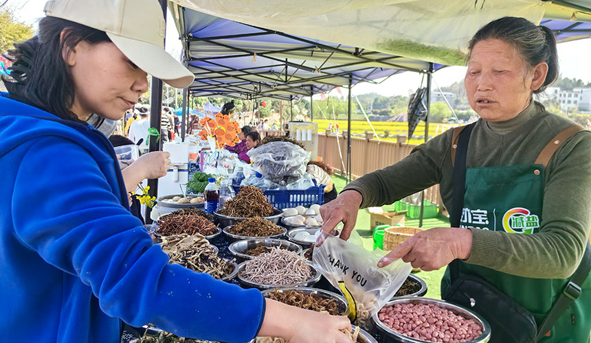 湖北咸安:百公里花帶引10萬游客【4】