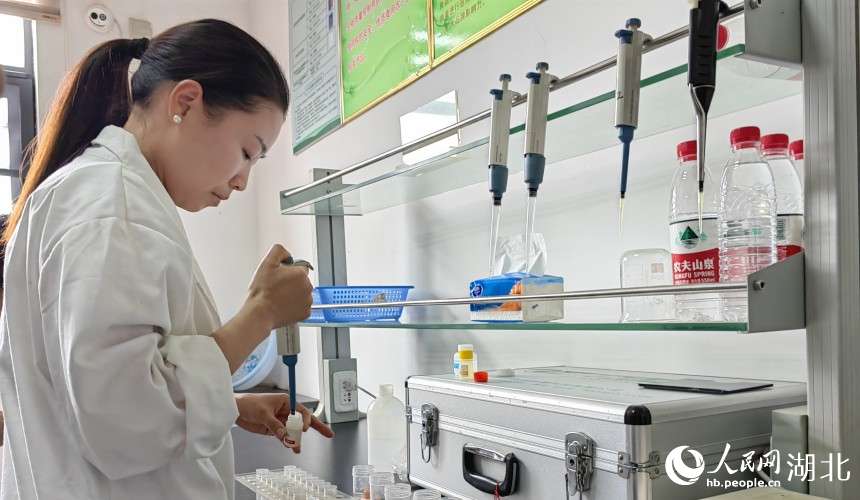 武漢農(nóng)業(yè)檢測中心工作人員在櫻桃種植基地抽樣檢測。人民網(wǎng)記者 郭婷婷攝