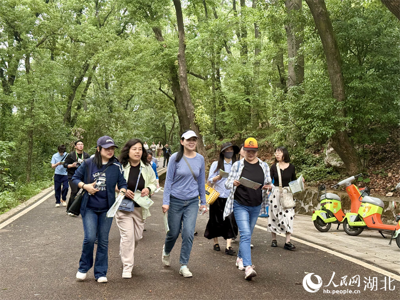 健步行活動。人民網(wǎng)記者 張沛攝