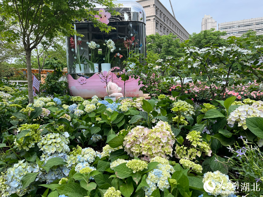 沙湖公園永久展區(qū)。人民網(wǎng)記者 張沛攝