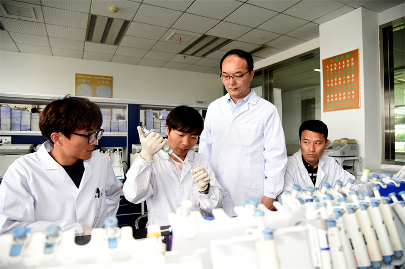 李一博教授課題組正在做實(shí)驗(yàn)。