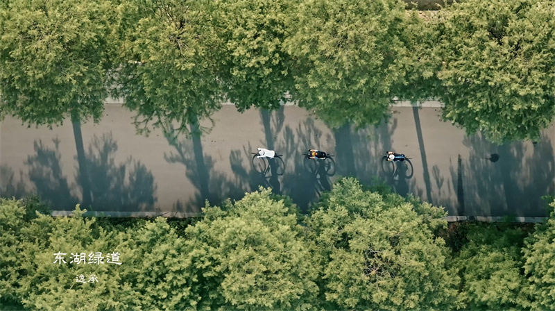 東湖綠道 逸承攝