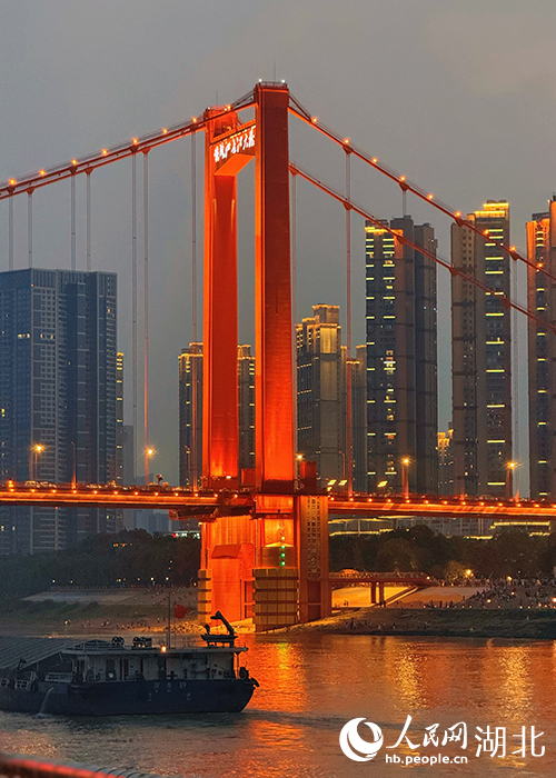 鸚鵡洲長江大橋夜景。人民網(wǎng)記者 周恬攝