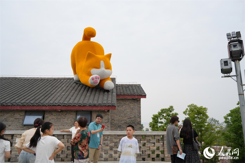 橘貓趴在屋頂憨態(tài)可掬。人民網(wǎng) 劉汕攝