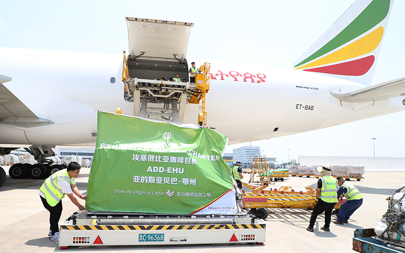 國際“咖啡豆航班”