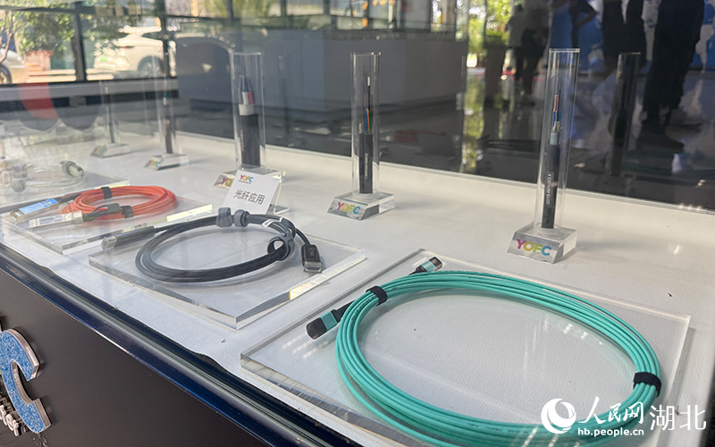 光纖應(yīng)用展示。人民網(wǎng)記者 張雋攝