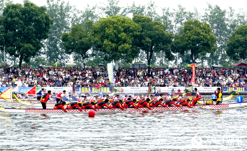 水中競(jìng)逐。人民網(wǎng)記者 張雋攝