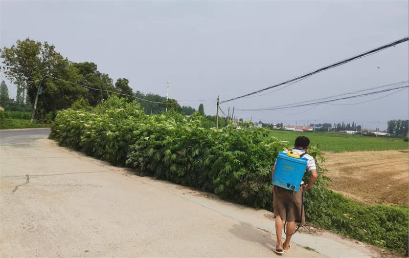 打藥處理。受訪者供圖