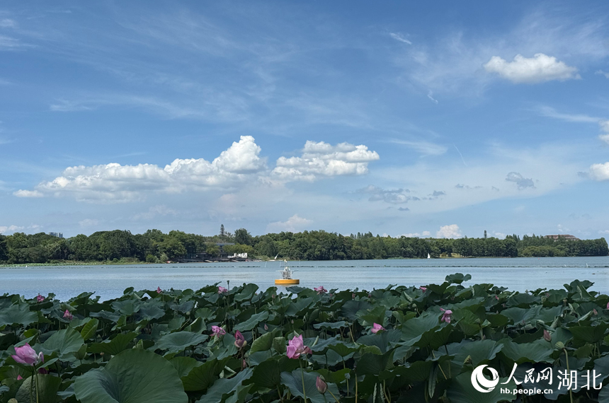 湖北武漢：藍(lán)天白云入畫來【5】