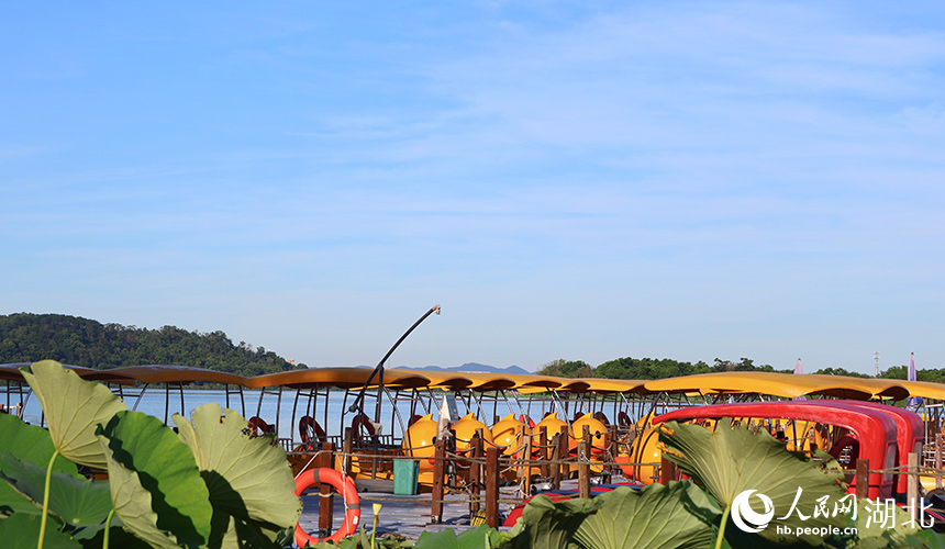 濕地公園里，大黃鴨游船“整裝待發(fā)”。