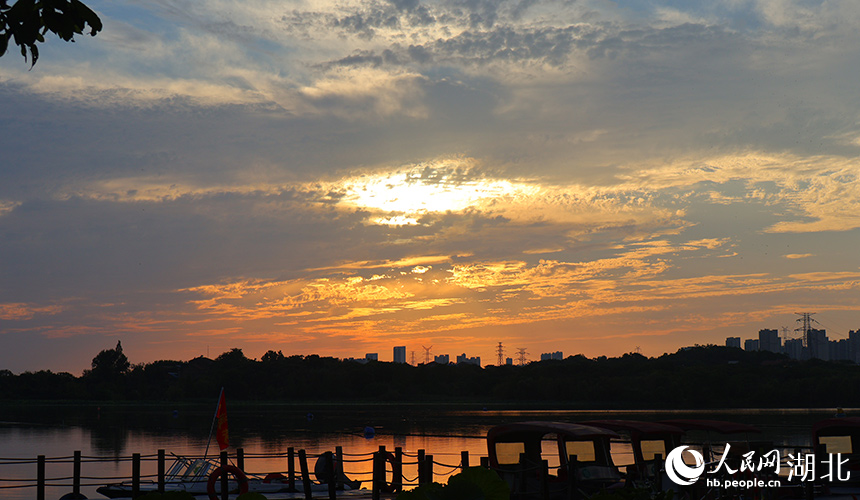濕地公園里的絕美晚霞。