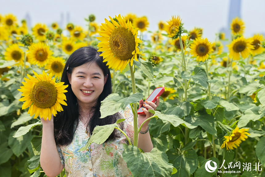市民在向日葵花海拍照留念。