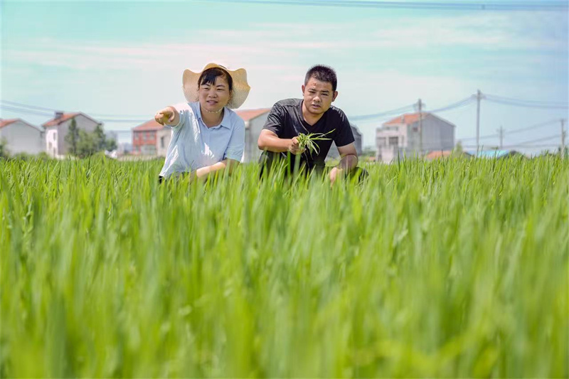 姜旭飛、郭芹夫婦。