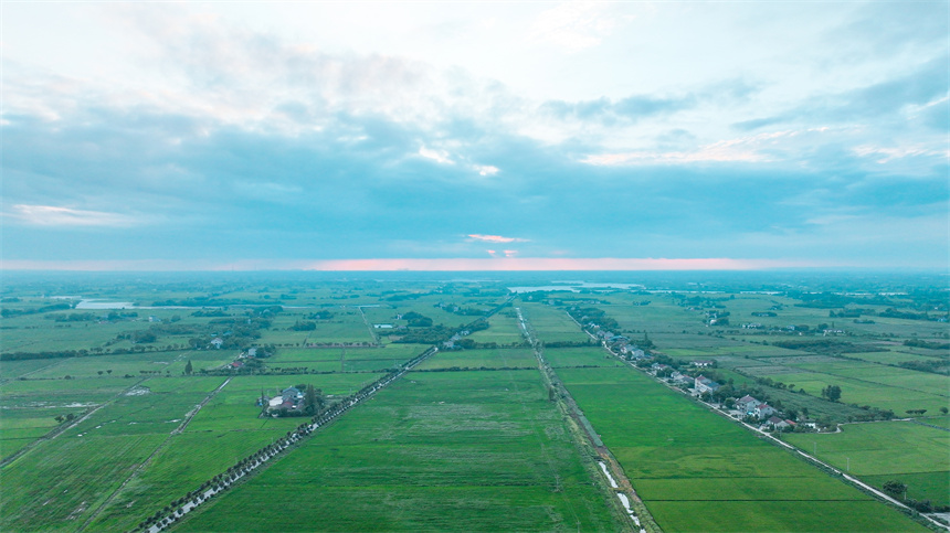 “小田并大田”激活魚(yú)米之鄉(xiāng)新動(dòng)能