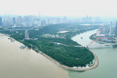 《這就是武漢》陳冰 翟瓊 王良圓 陳軍