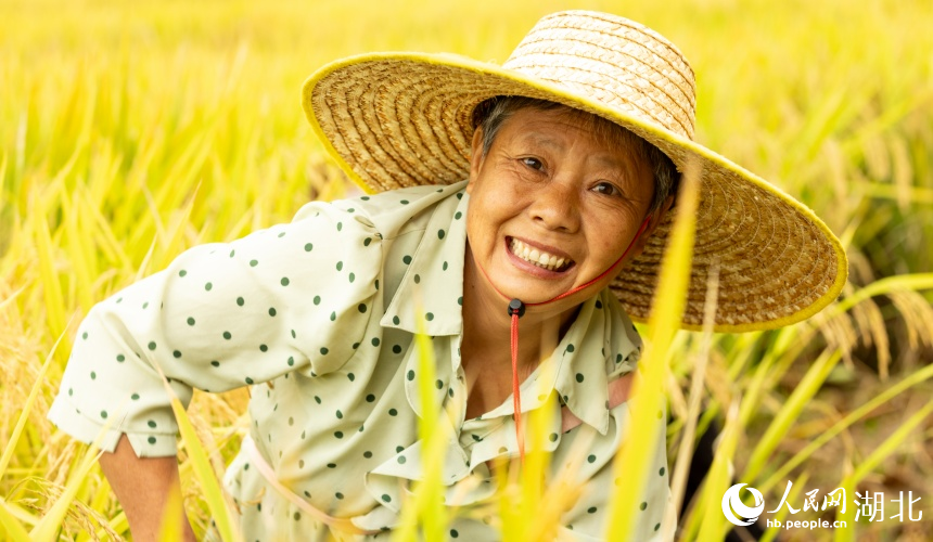 大余灣村民笑容滿面,體驗豐收的喜悅。人民網(wǎng)記者 郭婷婷攝