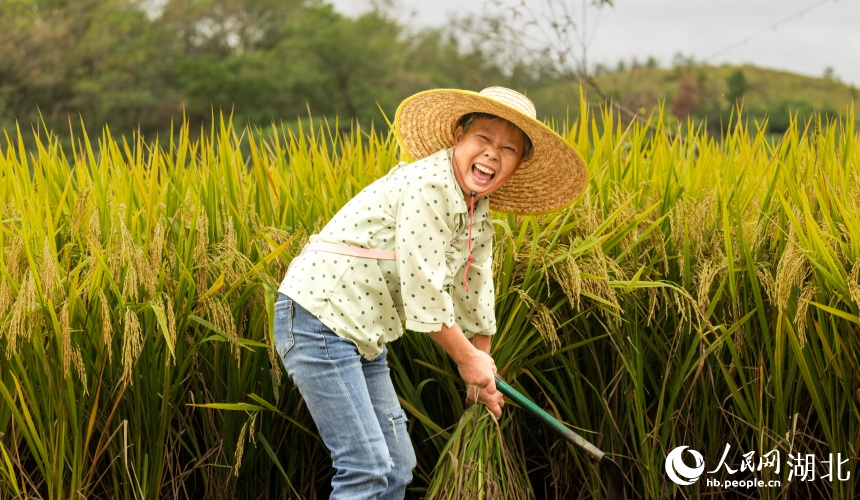 大余灣村民笑容滿面,體驗(yàn)豐收的喜悅。人民網(wǎng)記者 郭婷婷攝