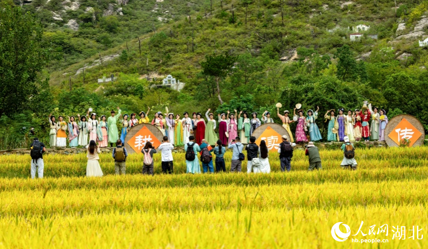 大余灣曬秋活動(dòng)吸引大量漢服愛好者前往“打卡”。人民網(wǎng)記者 郭婷婷攝