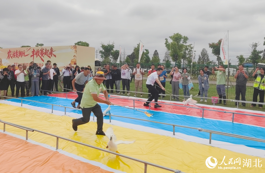 由農(nóng)業(yè)企業(yè)、和美鄉(xiāng)村代表及市民組成的30余支隊伍比賽趕鴨子。人民網(wǎng)記者 郭婷婷攝