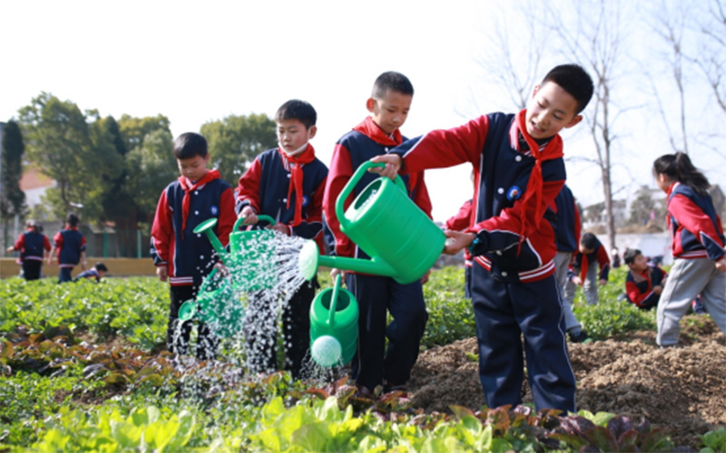 浩口三小學(xué)生菜地澆水。潛江市委宣傳部供圖