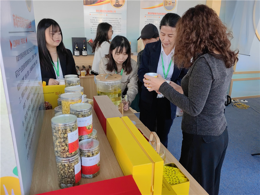 湖北麻城福白菊品牌價值突破72億元【4】