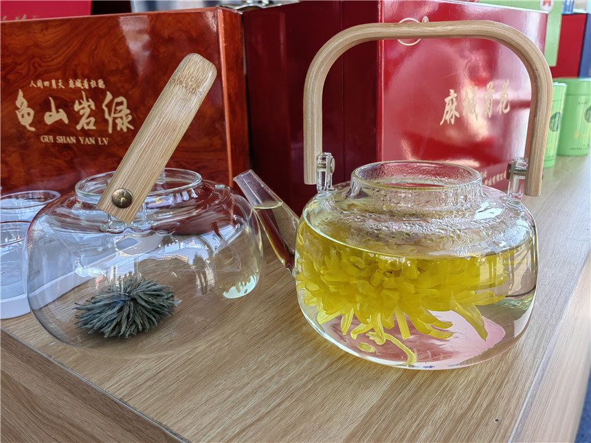 湖北麻城福白菊品牌價(jià)值突破72億元【2】