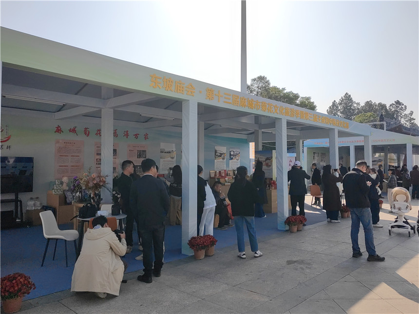 湖北麻城福白菊品牌價(jià)值突破72億元【6】