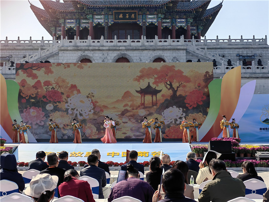 湖北麻城福白菊品牌價值突破72億元【8】