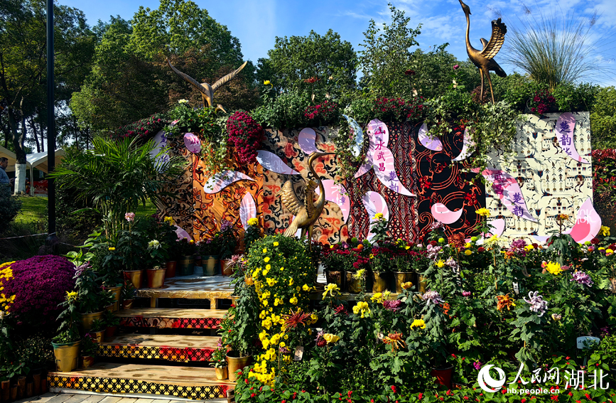 江城秋色入畫來(lái) 武漢市第42屆金秋菊展啟幕【13】