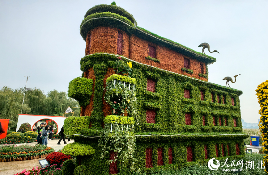 江城秋色入畫來 武漢市第42屆金秋菊展啟幕【14】