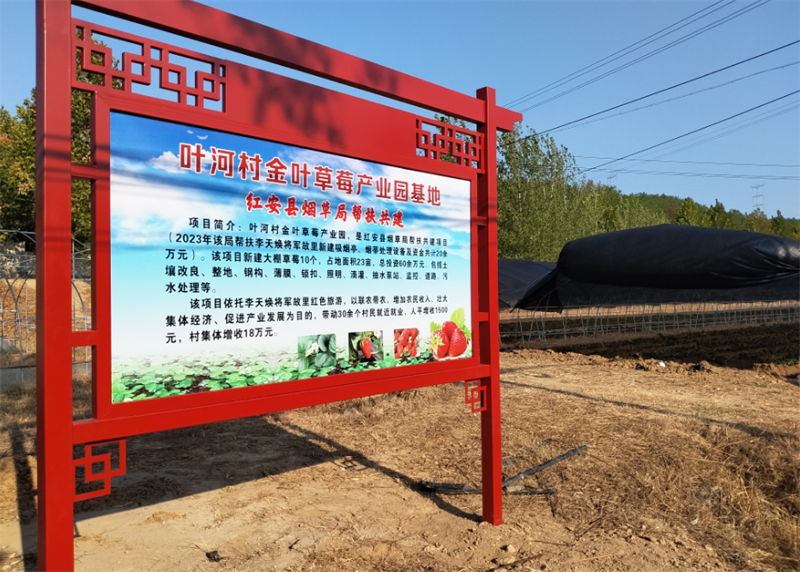 葉河村金葉草莓產(chǎn)業(yè)園基地