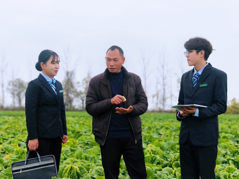 客戶經(jīng)理到田間走訪。