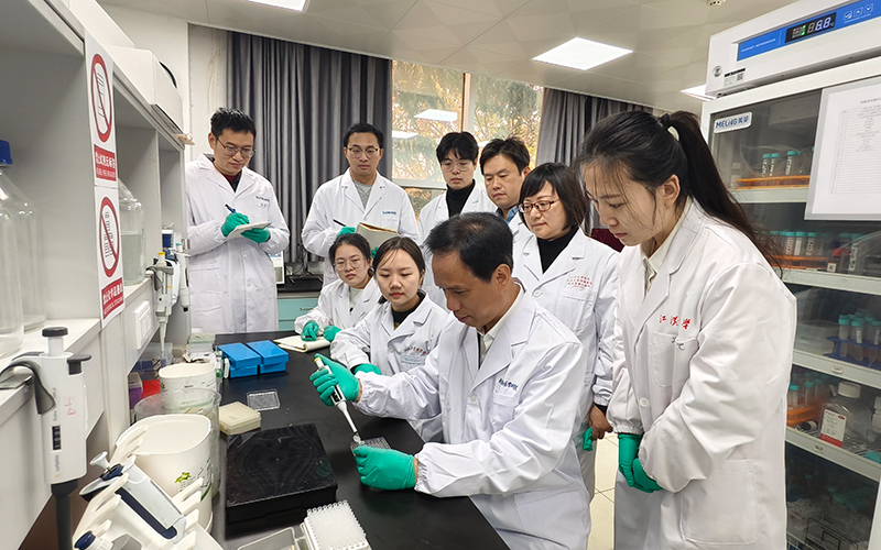 舒細(xì)記帶領(lǐng)學(xué)生正在做實(shí)驗(yàn)。江漢大學(xué)供圖
