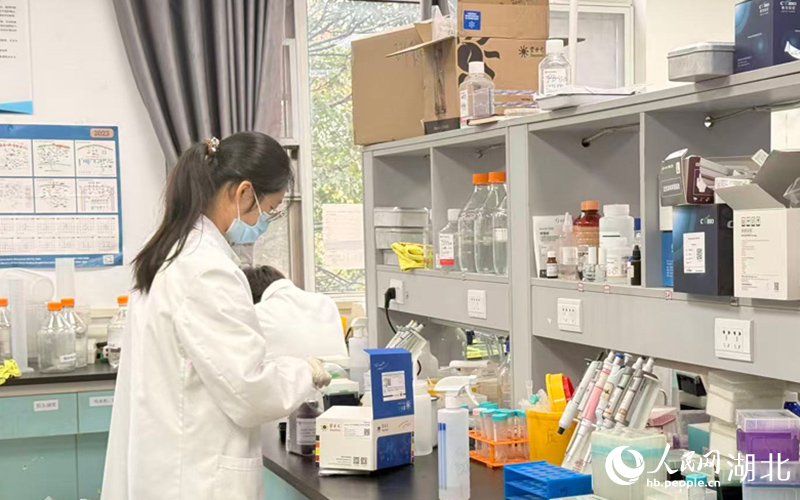 學(xué)生正在實(shí)驗(yàn)。人民網(wǎng)記者 張雋攝