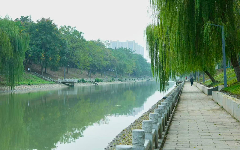 潛江百里長渠水清岸綠。艾帥攝