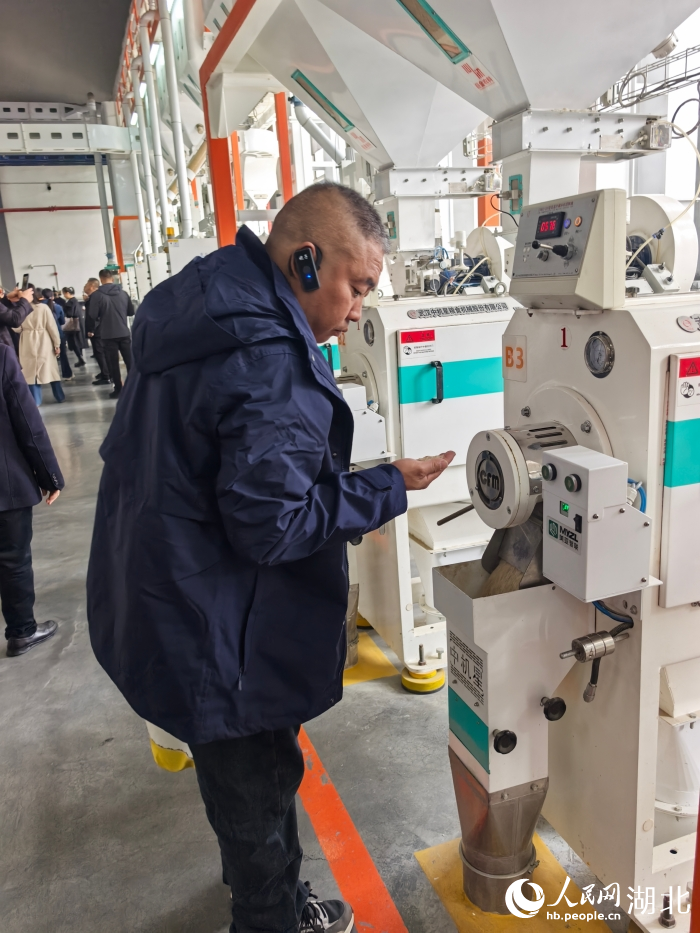 考察團(tuán)正在參觀5G自動(dòng)化碾米流水線。