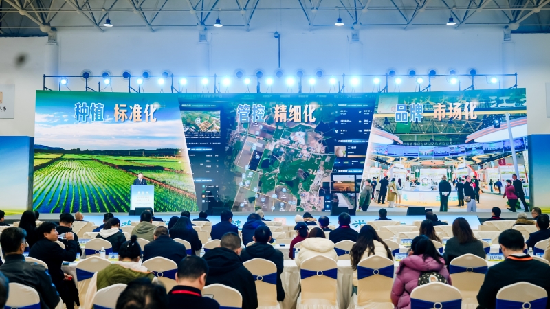 活動現(xiàn)場。