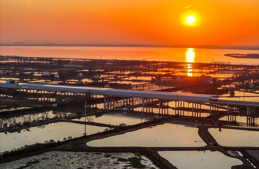 雙柳長(zhǎng)江大橋穿上銀色靜音罩 守護(hù)鳥(niǎo)類(lèi)家園