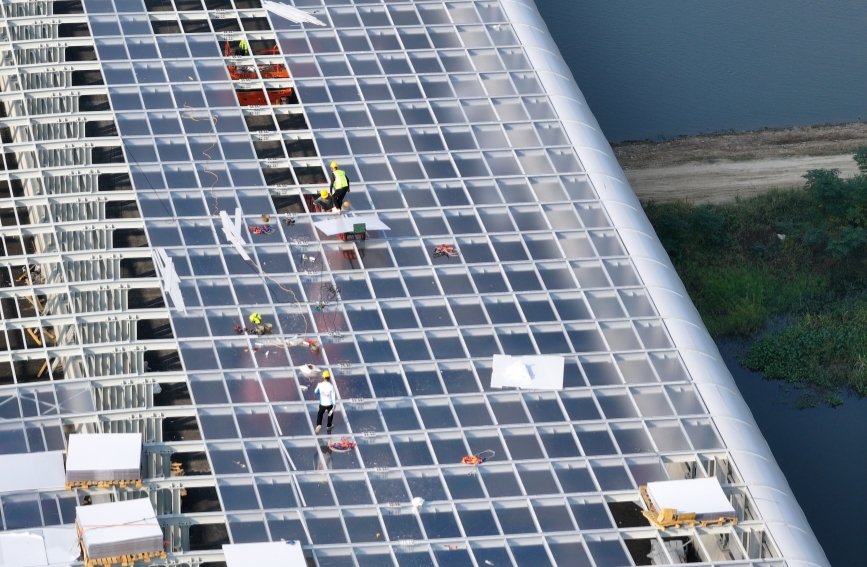 雙柳長(zhǎng)江大橋穿上銀色靜音罩 守護(hù)鳥類家園【4】