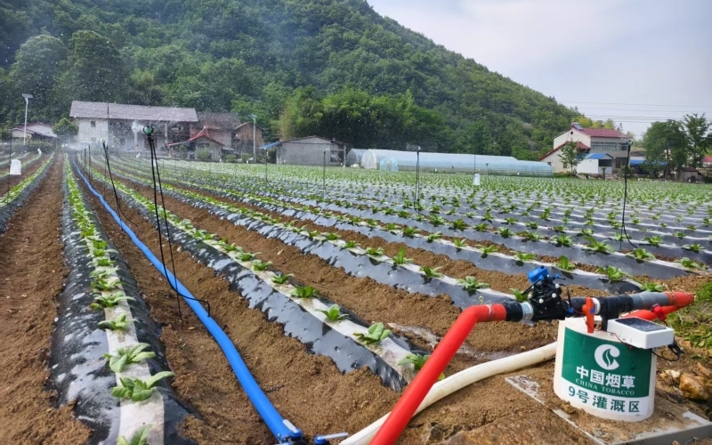 為水肥一體化滴灌場(chǎng)景。