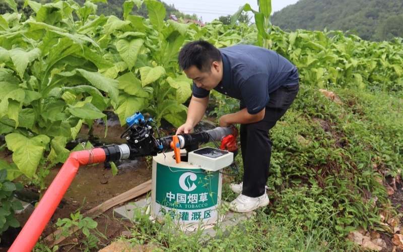 維護(hù)田間滴灌場(chǎng)景。