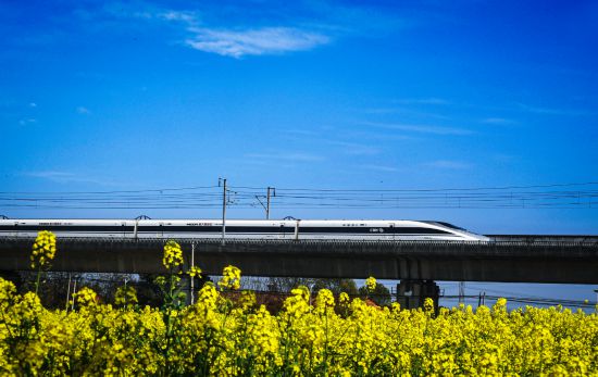 點(diǎn)擊查看高清原圖